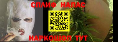 гашик Бийск