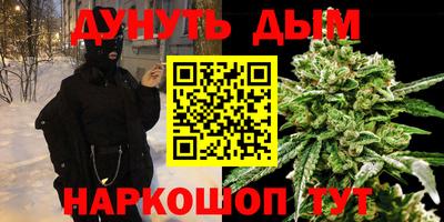 гашик Бийск