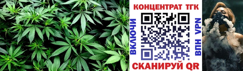 ОМГ ОМГ ТОР  Дербент  Дистиллят ТГК Wax 
