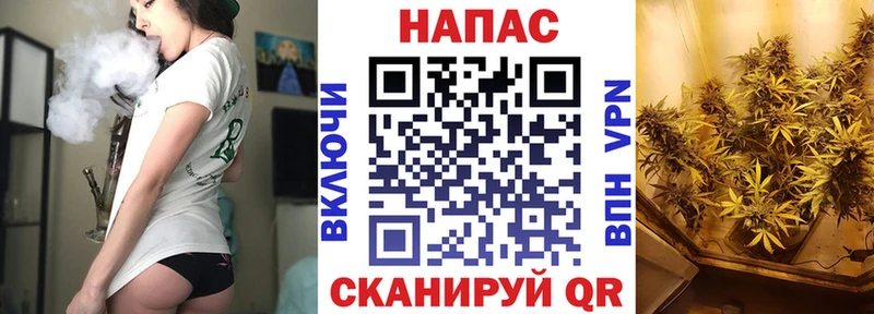 Шишки марихуана Ganja  наркотики  Дербент 